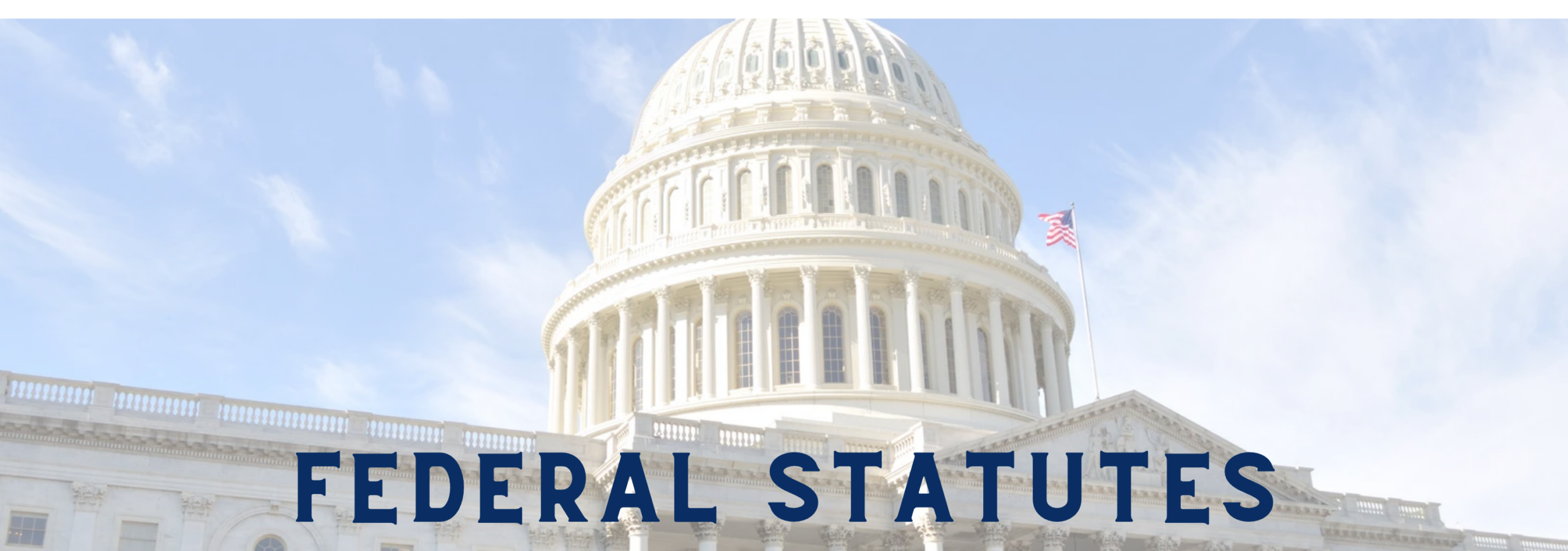 Federal Statutes